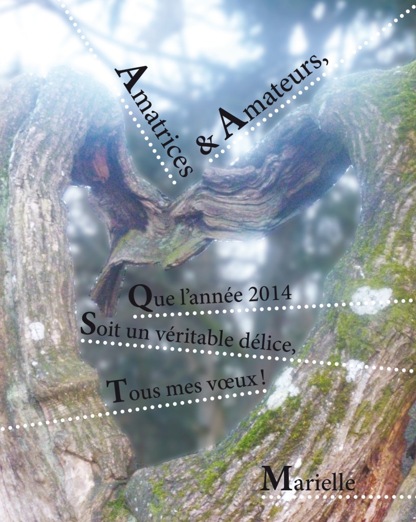 Voeux Marielle-2-1