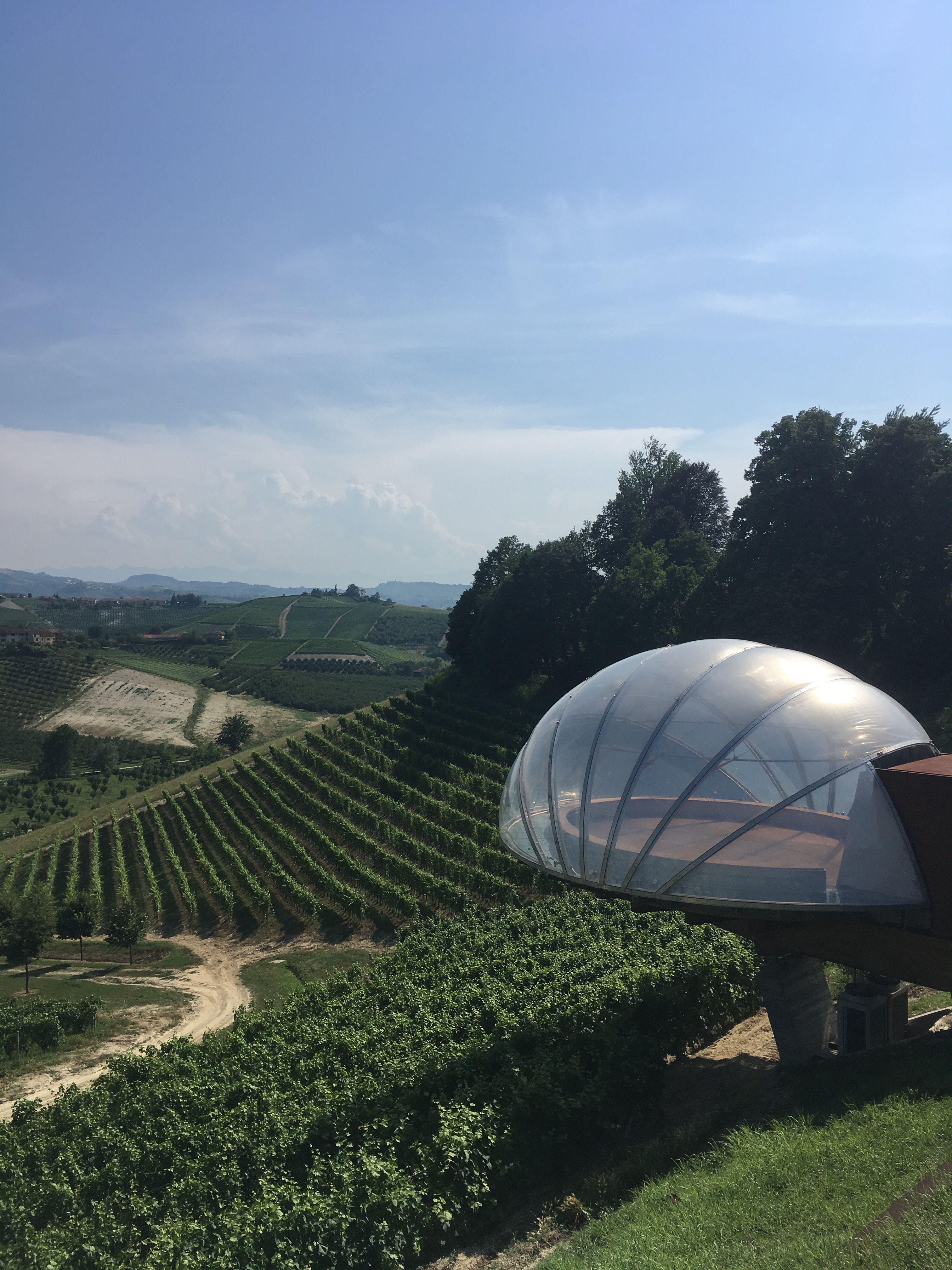 vue sur les vignes du piémont