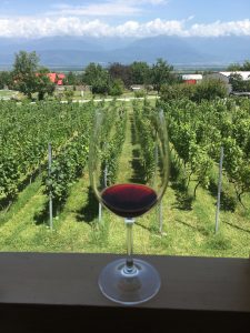 cours oenologie paris orléans marielle kubik